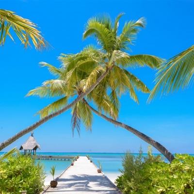 油价下跌，伊朗称将允许“非敌对”船只安全通过霍尔木兹海峡